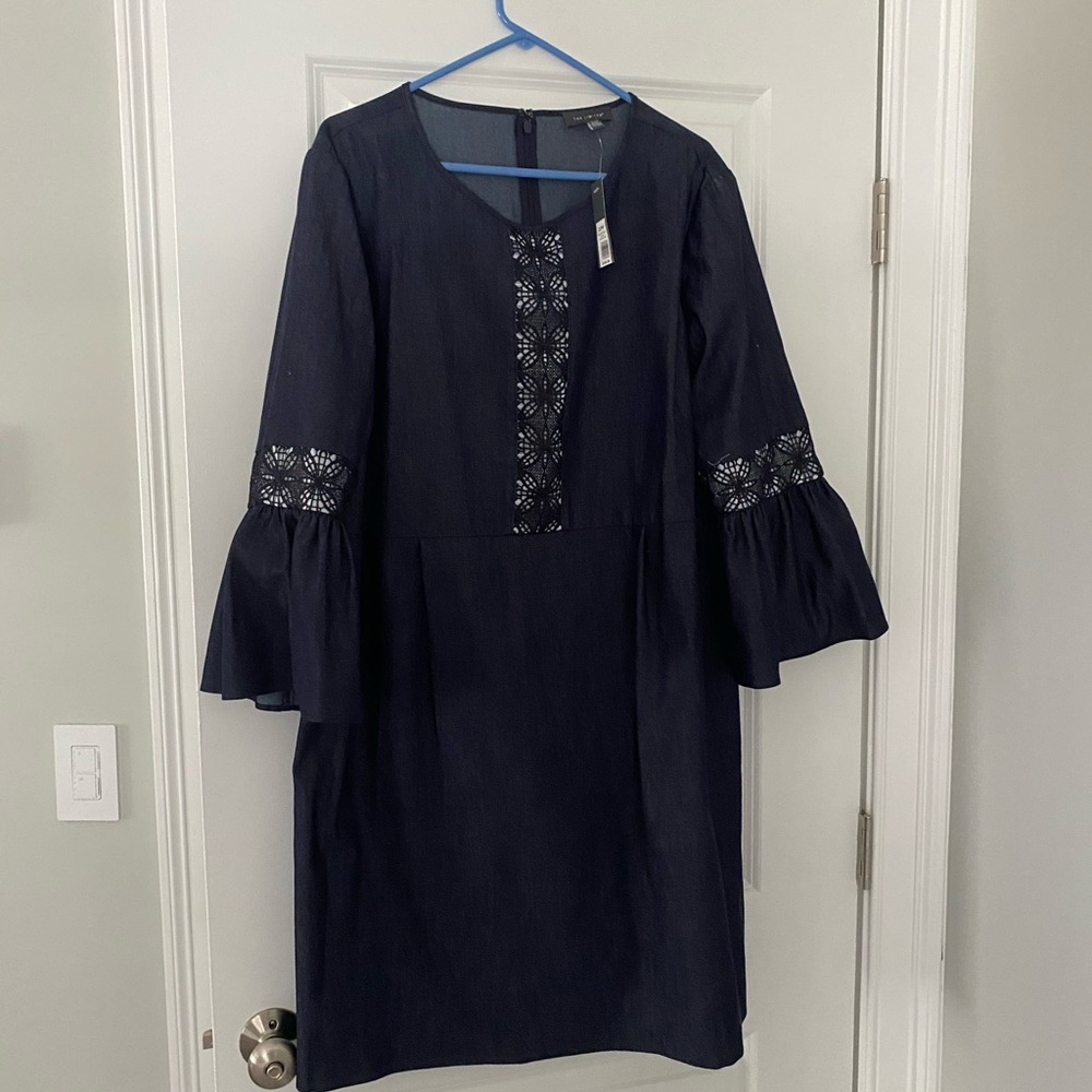 Plus size, from the Limited, Jean dress!